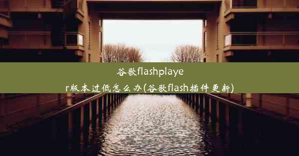 谷歌flashplayer版本过低怎么办(谷歌flash插件更新)