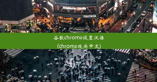 谷歌chrome设置汉语(chrome改为中文)