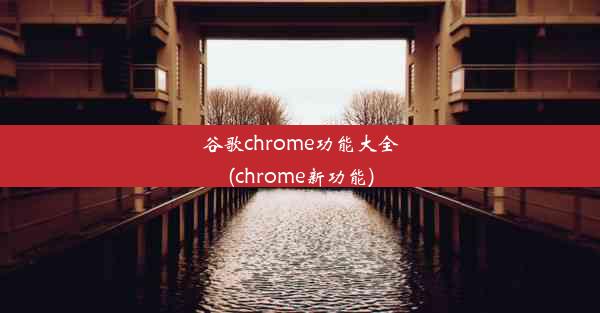 谷歌chrome功能大全(chrome新功能)