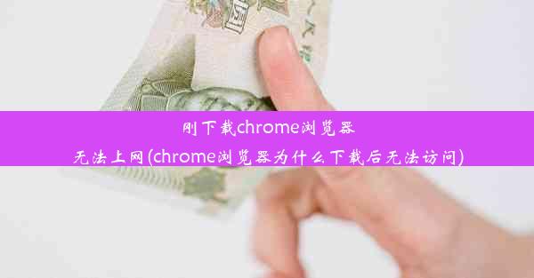 刚下载chrome浏览器无法上网(chrome浏览器为什么下载后无法访问)