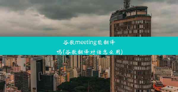 谷歌meeting能翻译吗(谷歌翻译对话怎么用)