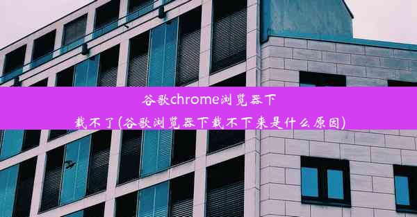 谷歌chrome浏览器下载不了(谷歌浏览器下载不下来是什么原因)