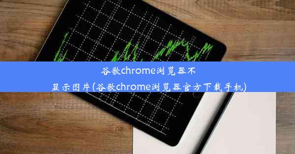 谷歌chrome浏览器不显示图片(谷歌chrome浏览器官方下载手机)