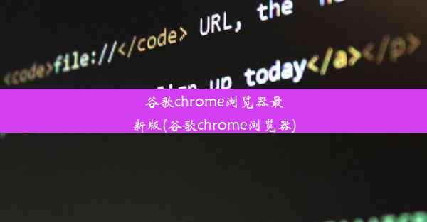 谷歌chrome浏览器最新版(谷歌chrome浏览器)