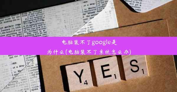 电脑装不了google是为什么(电脑装不了系统怎么办)