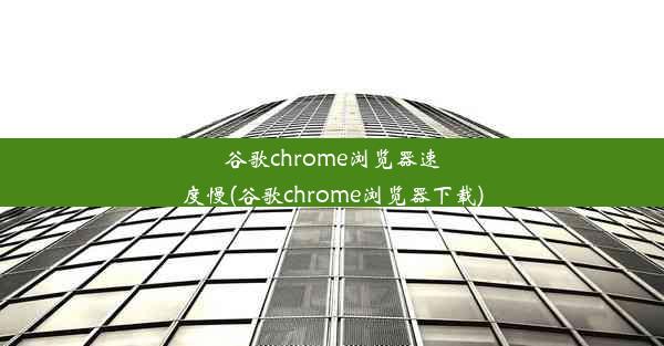 谷歌chrome浏览器速度慢(谷歌chrome浏览器下载)