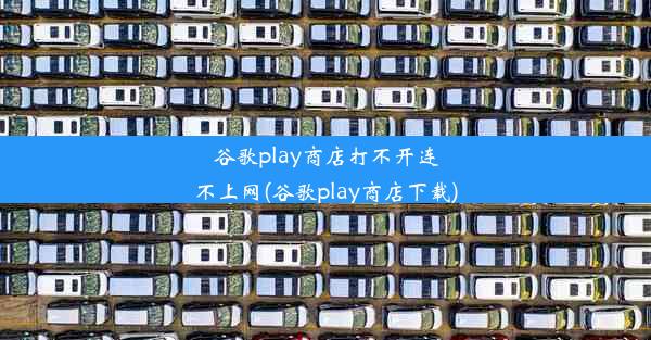 谷歌play商店打不开连不上网(谷歌play商店下载)