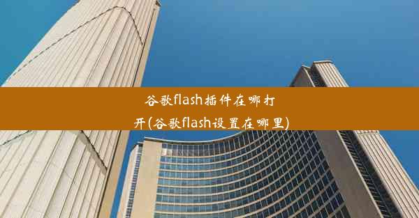 谷歌flash插件在哪打开(谷歌flash设置在哪里)