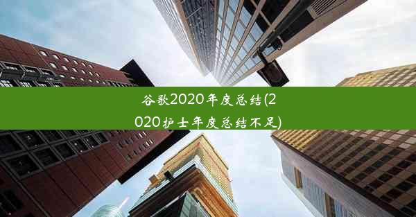 谷歌2020年度总结(2020护士年度总结不足)