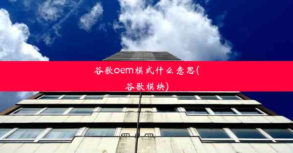 谷歌oem模式什么意思(谷歌模块)